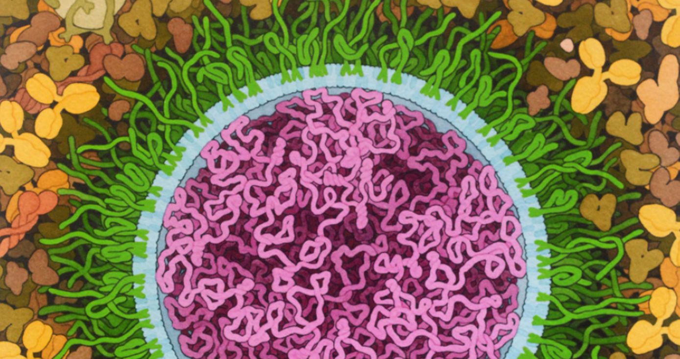 A purple virus with green lines rising from a blue membrane