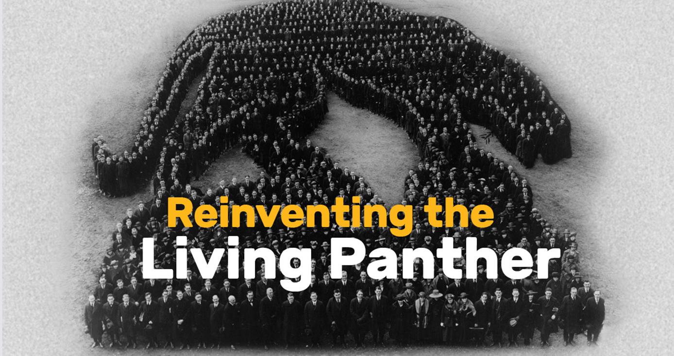 Pitt community members make up a panther