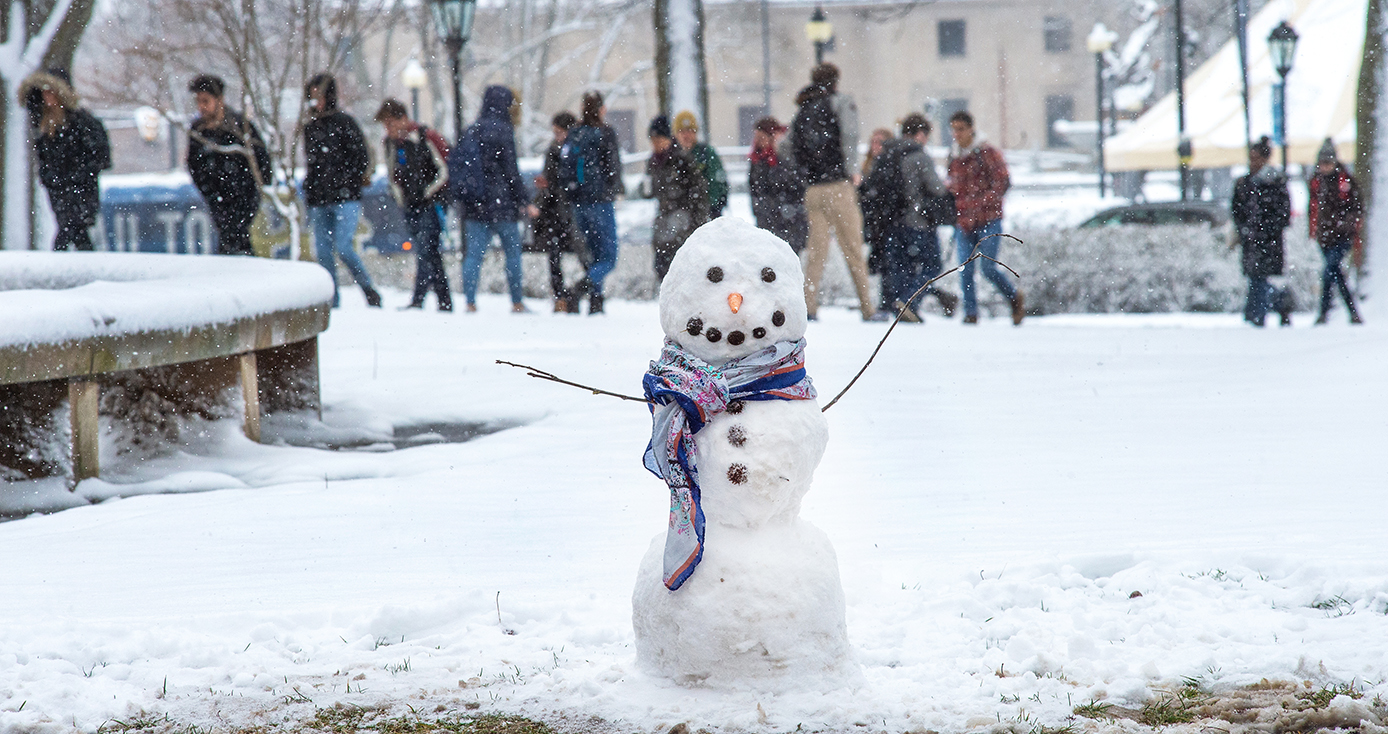 A snow man in a purple scarf