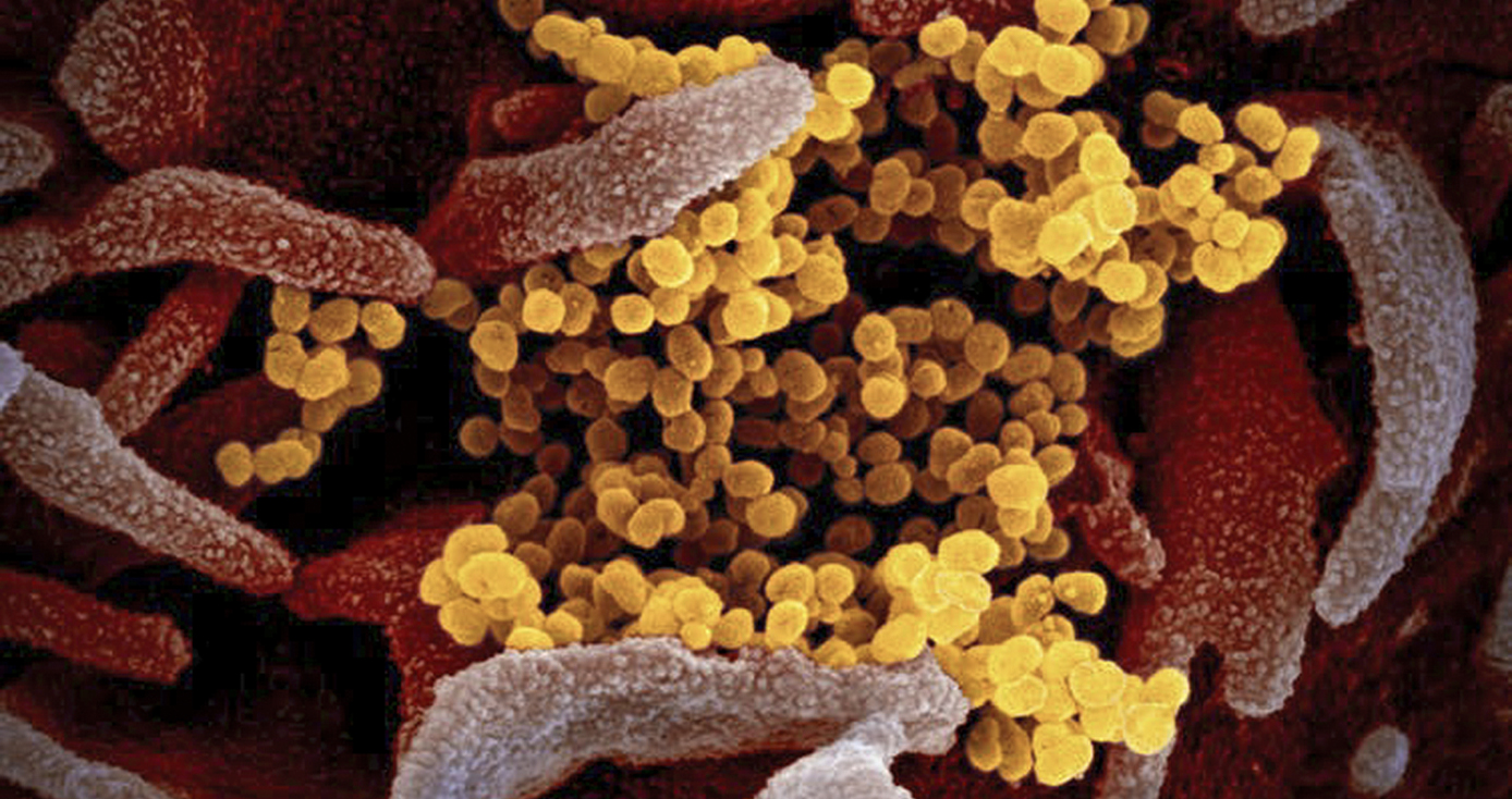 A depiction of the coronavirus