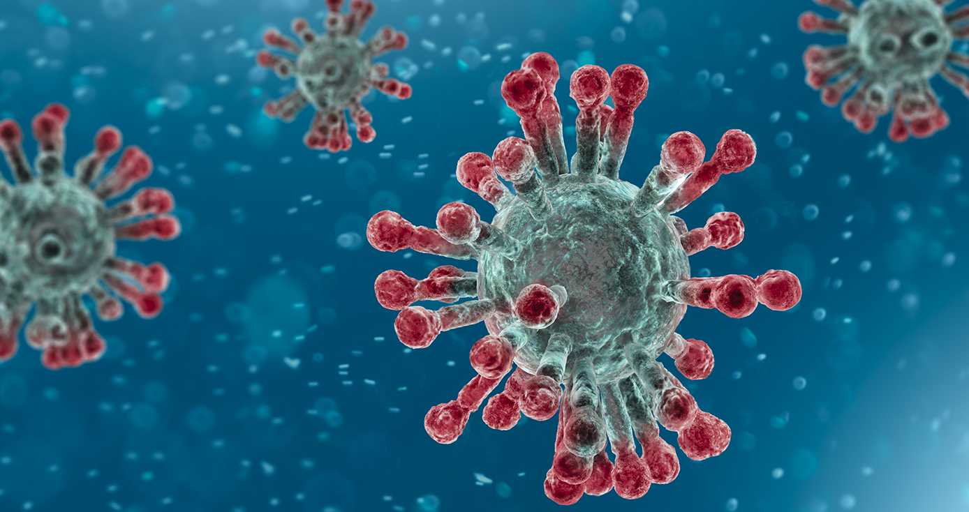 an image of the coronavirus