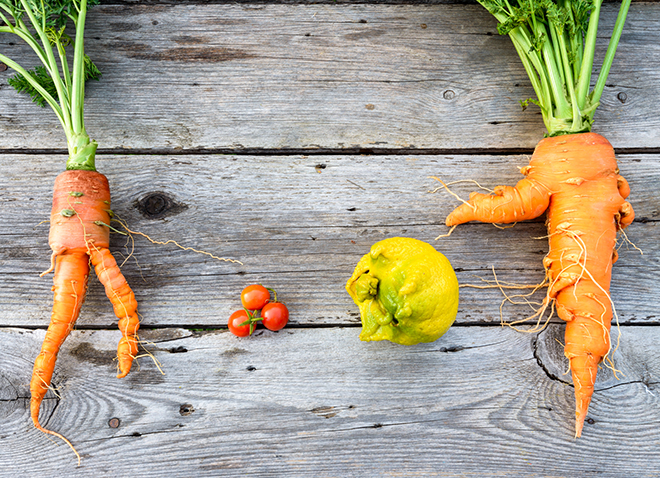 two carrots, some tomatoes and a lemon, all with warts, malformations and funky growths