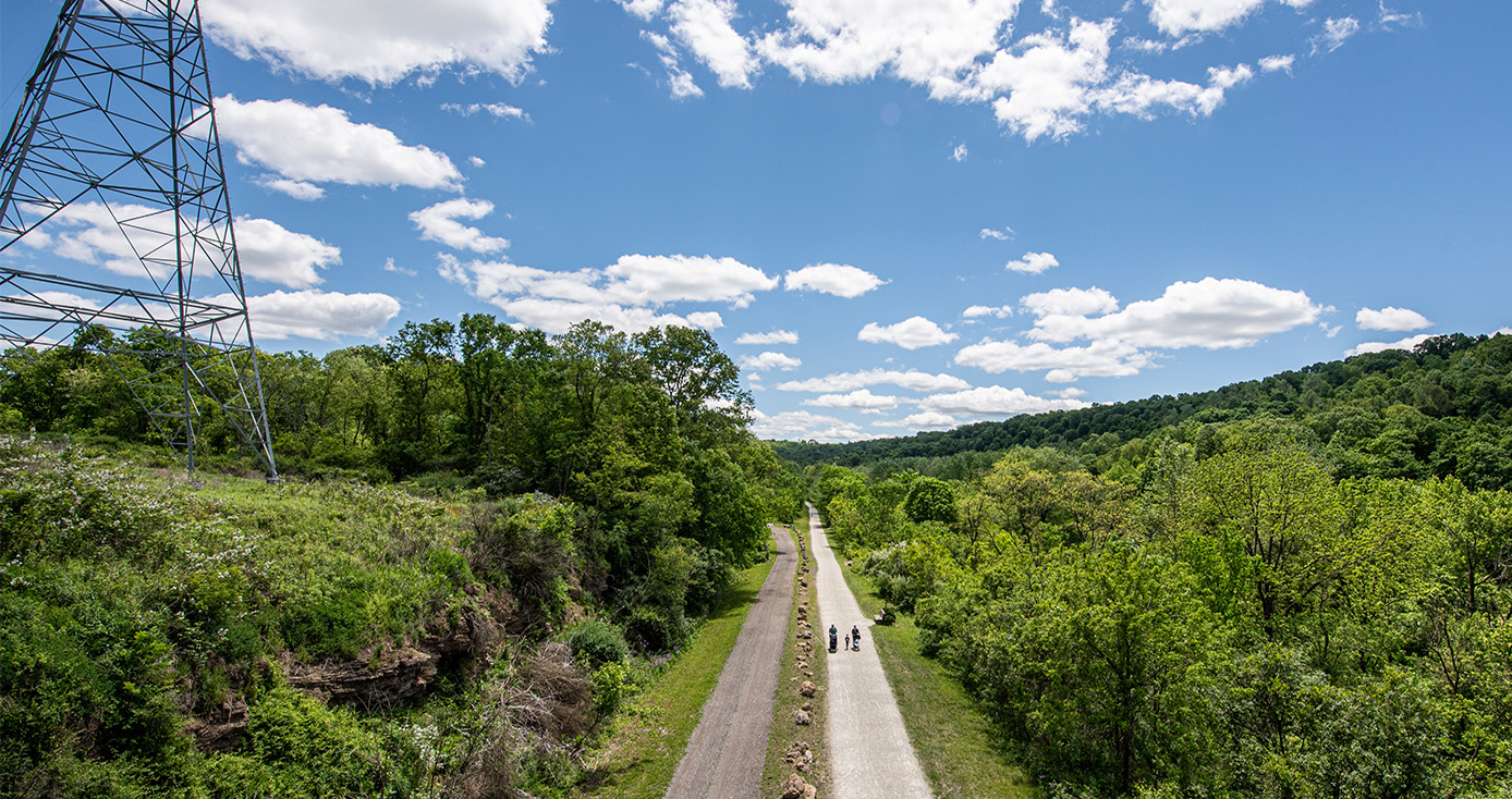 A view of a trail cutting between trees, and a blue sky with clouds overhead