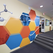 
The Study Lab's wall, decorated with multicolored hexagons
