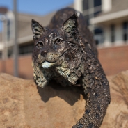 
a statue of a panther on the campus
