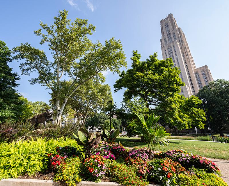 Summer foliage in front of the Cathedral of Learning