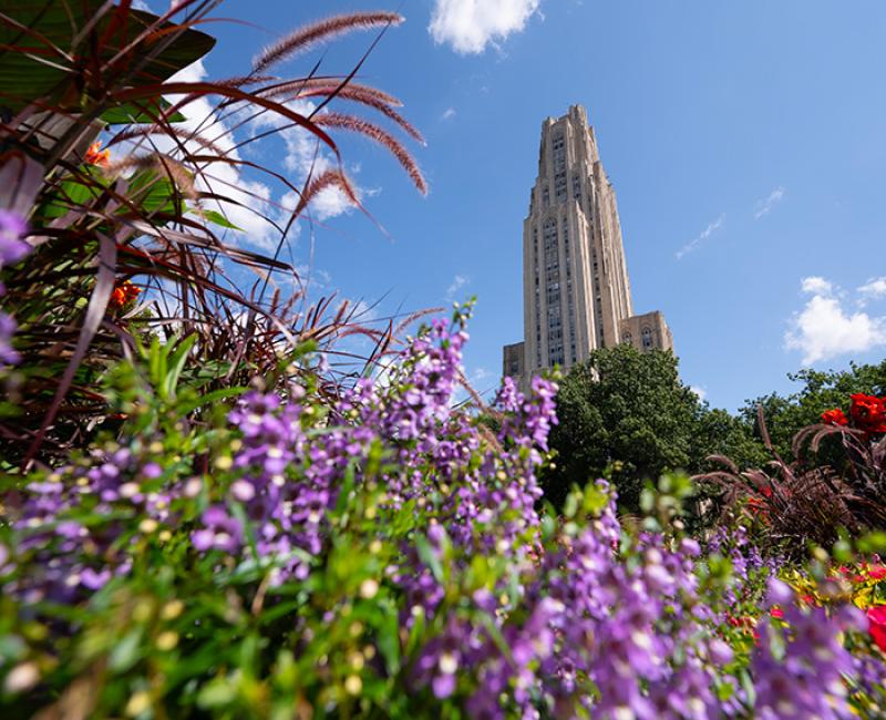 The Cathedral of Learning sits behind blooming flowers.