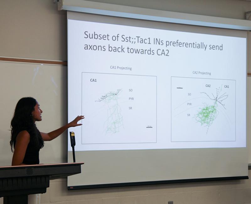 Student presenting a powerpoint in front of a room