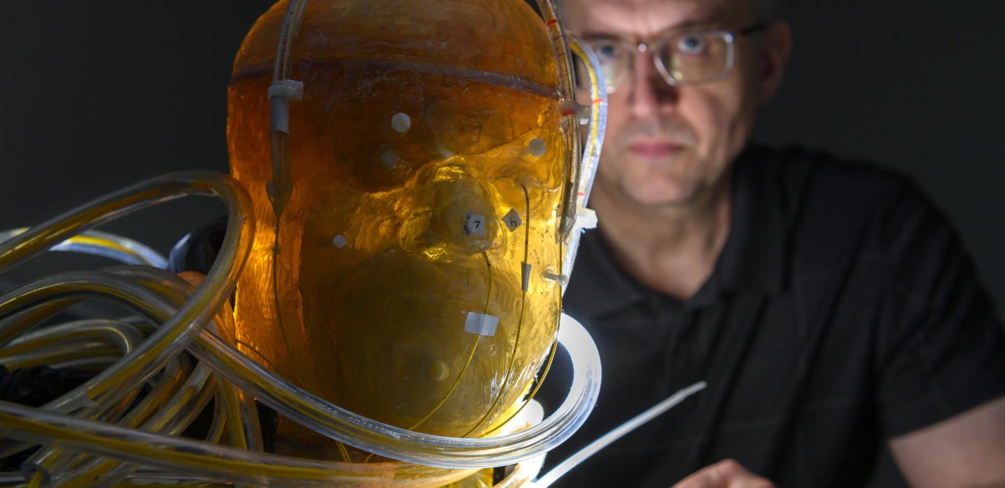 a yellow model of a head with tubes in and around it with a man in a black shirt in the background looking at it