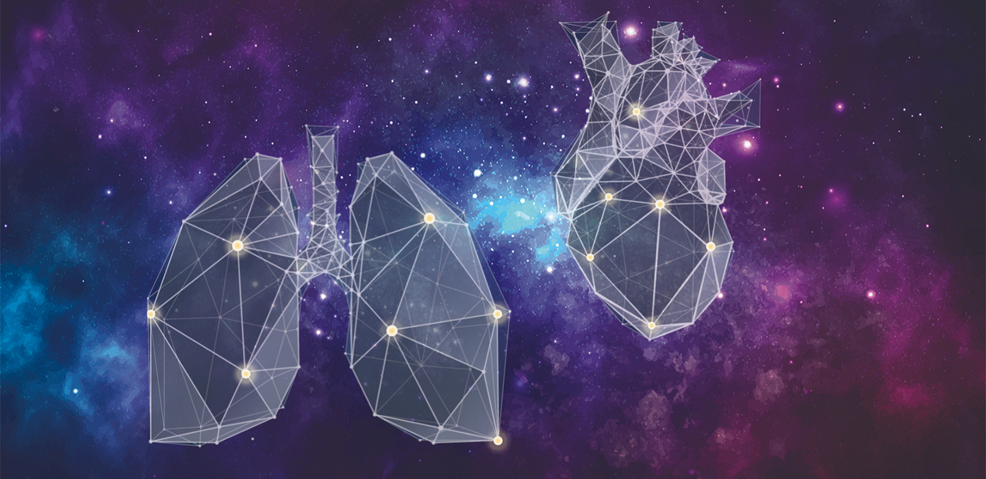 Geometrical renderings of heart and lungs with starry background