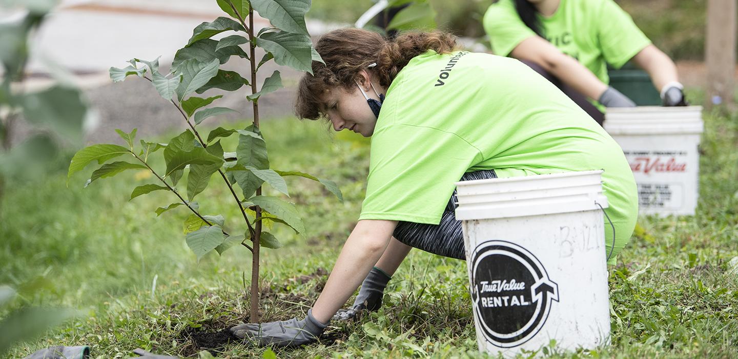 People in green shirts planting trees in the grass