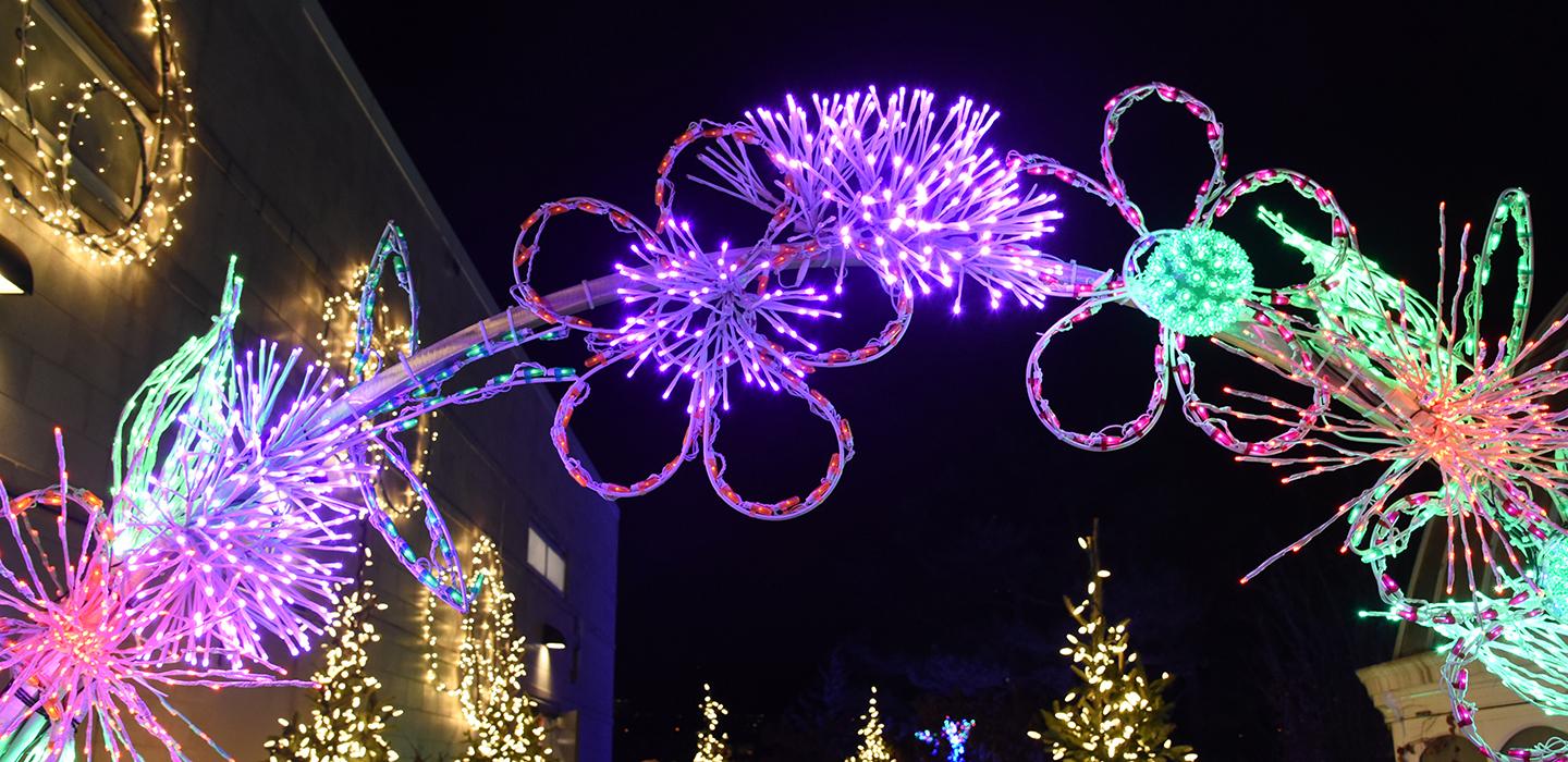 An arch of purple and green Holiday lights in the shape of flowers