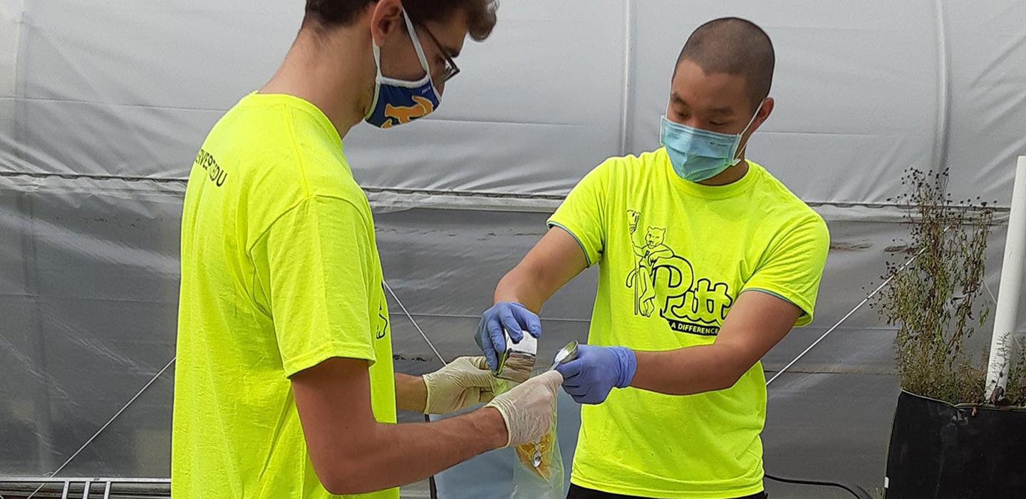 Pitt volunteers in yellow shirts working together 