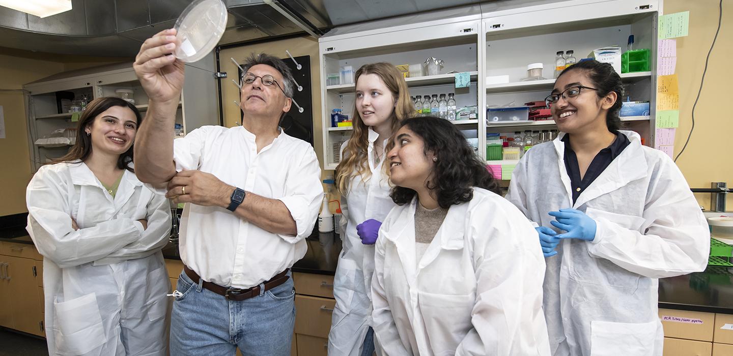 Professor Graham Hatfull and others in lab together