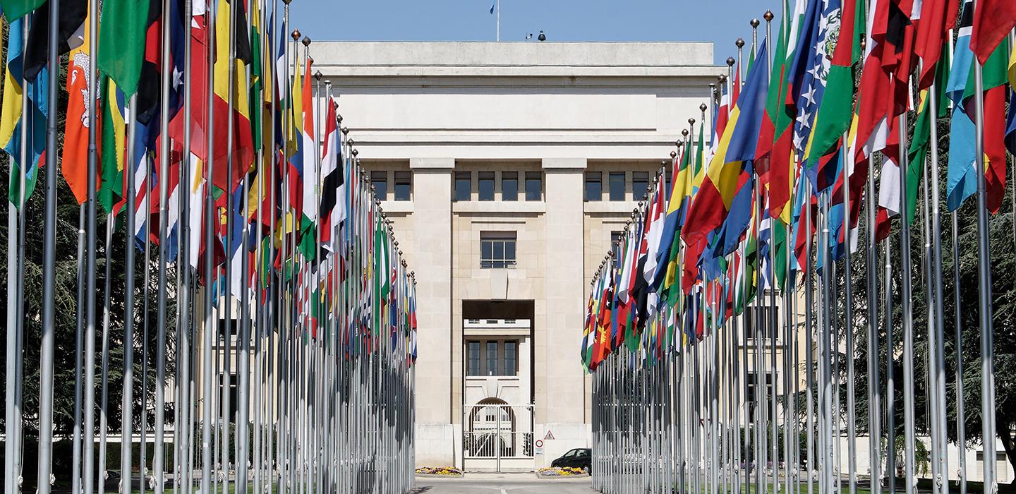 flags outside The Hague