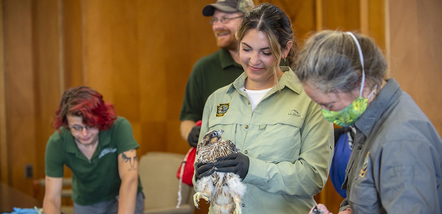 a person holding a small falcon