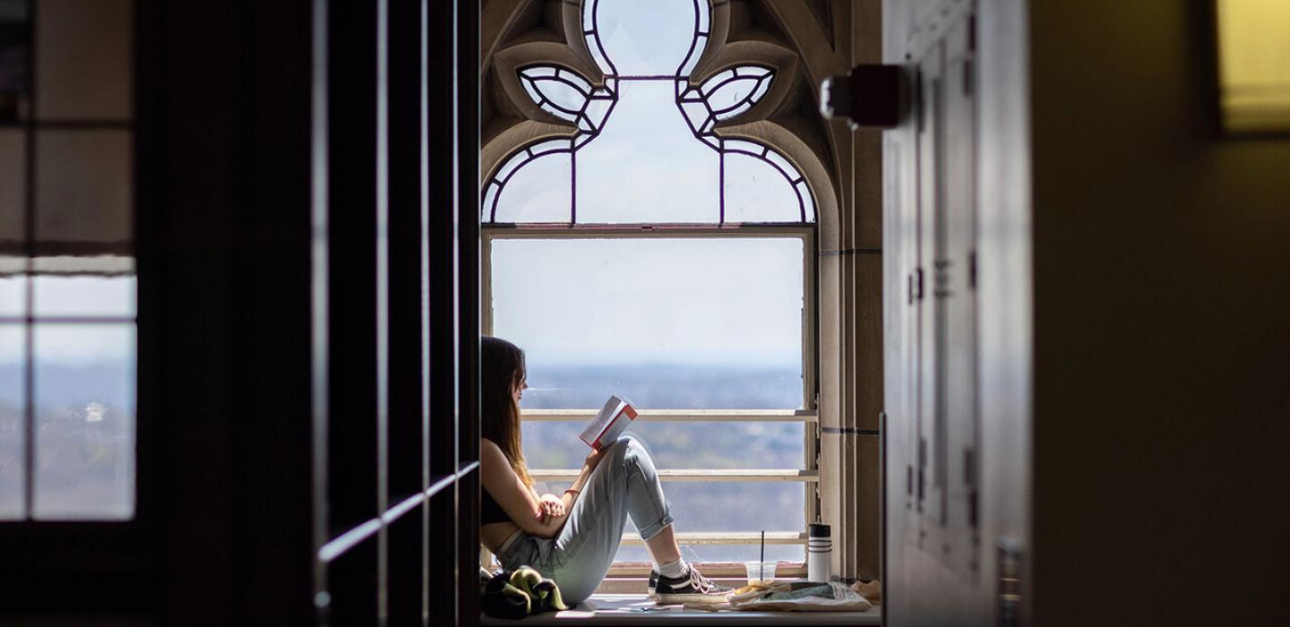 a person reads in a window