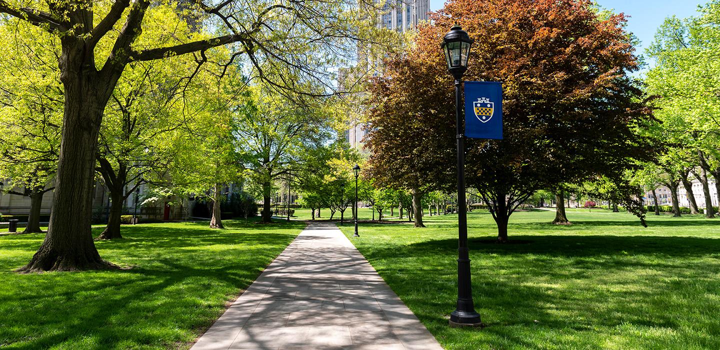 A Pitt flag hangs on a lamppost next to a sidewalk