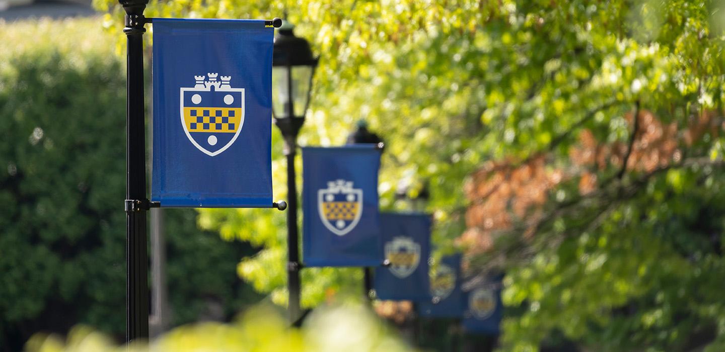 A row of blue flags with Pitt shields on lampposts