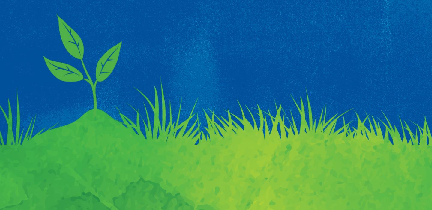 green grass and a seedling on a blue background