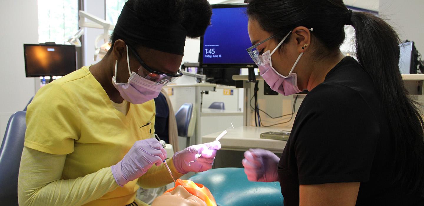 Two masked people practice dentistry on a mannequin