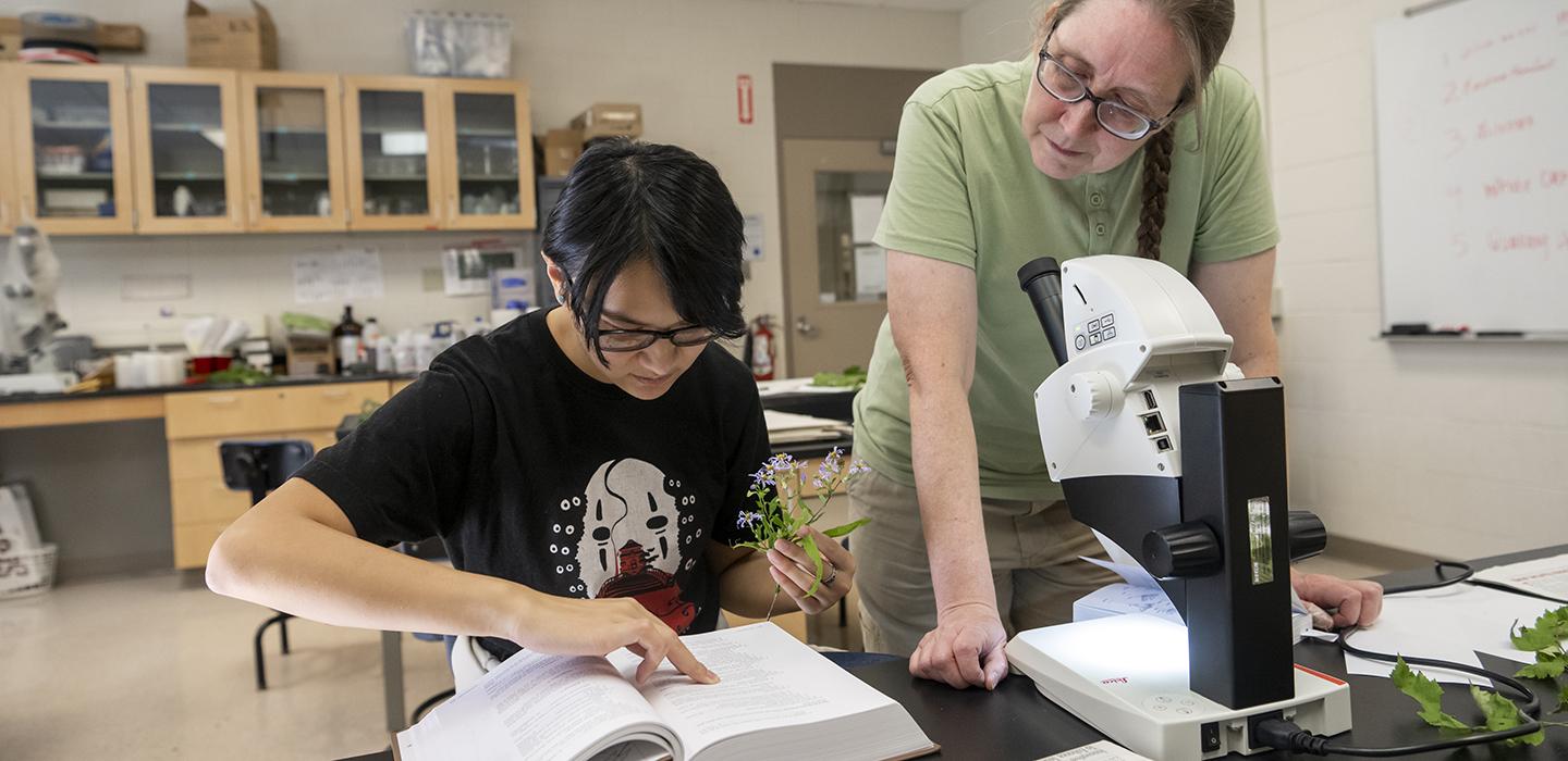 two people working in a lab