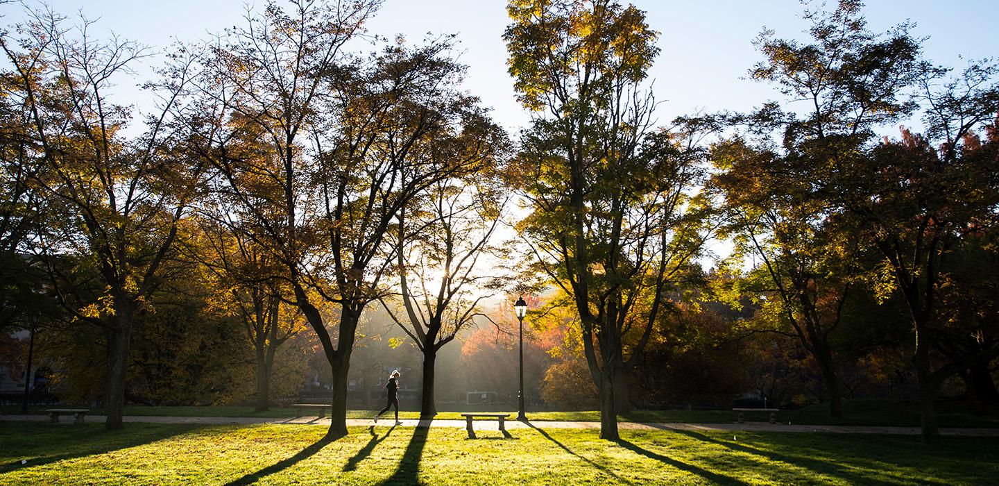 A person walks on a trail on a fall morning