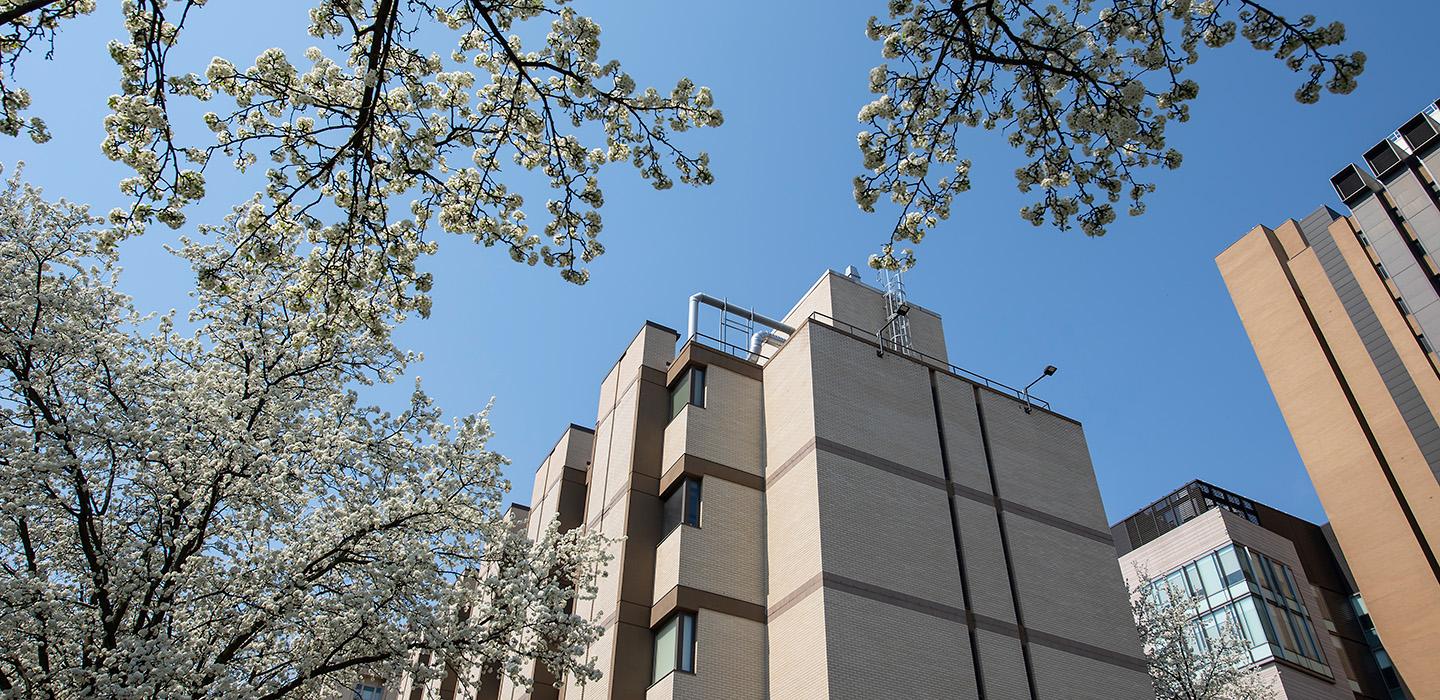 The Space Research Coordination Center