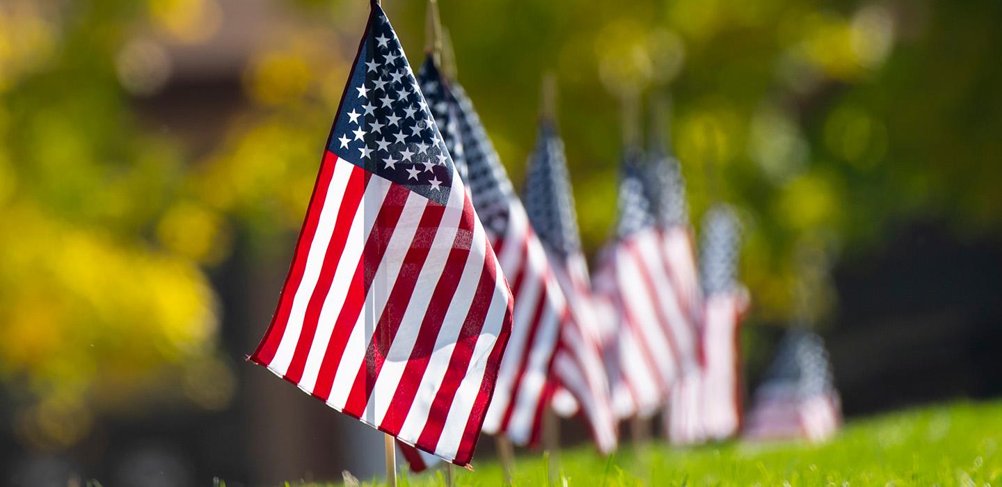 American flags on a lawn