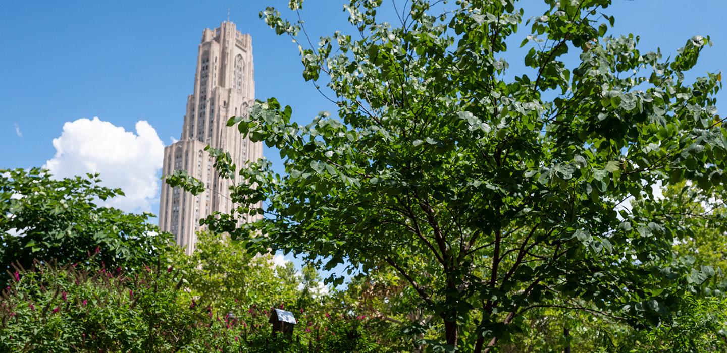 The Cathedral of Learning behind trees