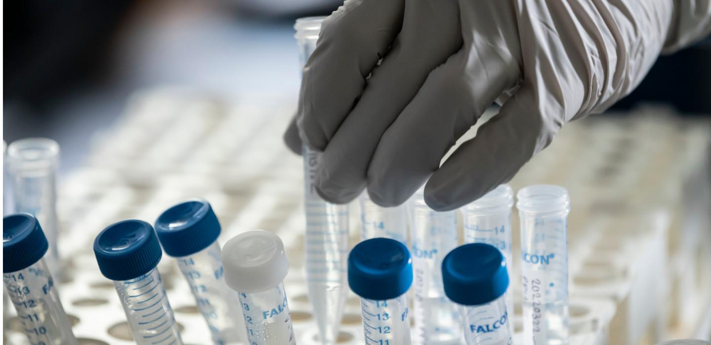 A gloved hand picks a vial from among a number of water vials. 