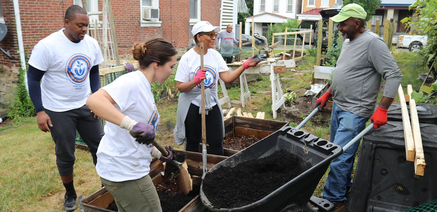 People shovel dirt from a wheelbarrow into planters