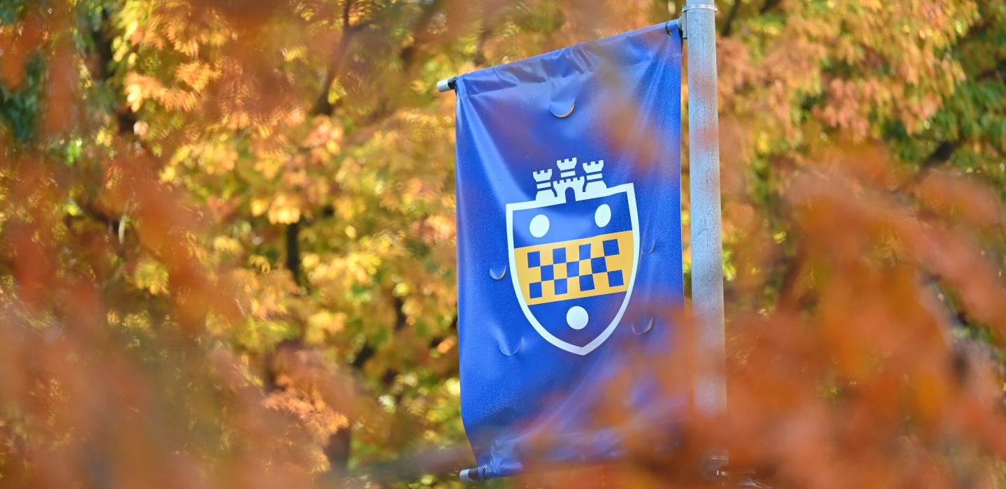 A branded Pitt flag with the University shield is framed by fall leaves.