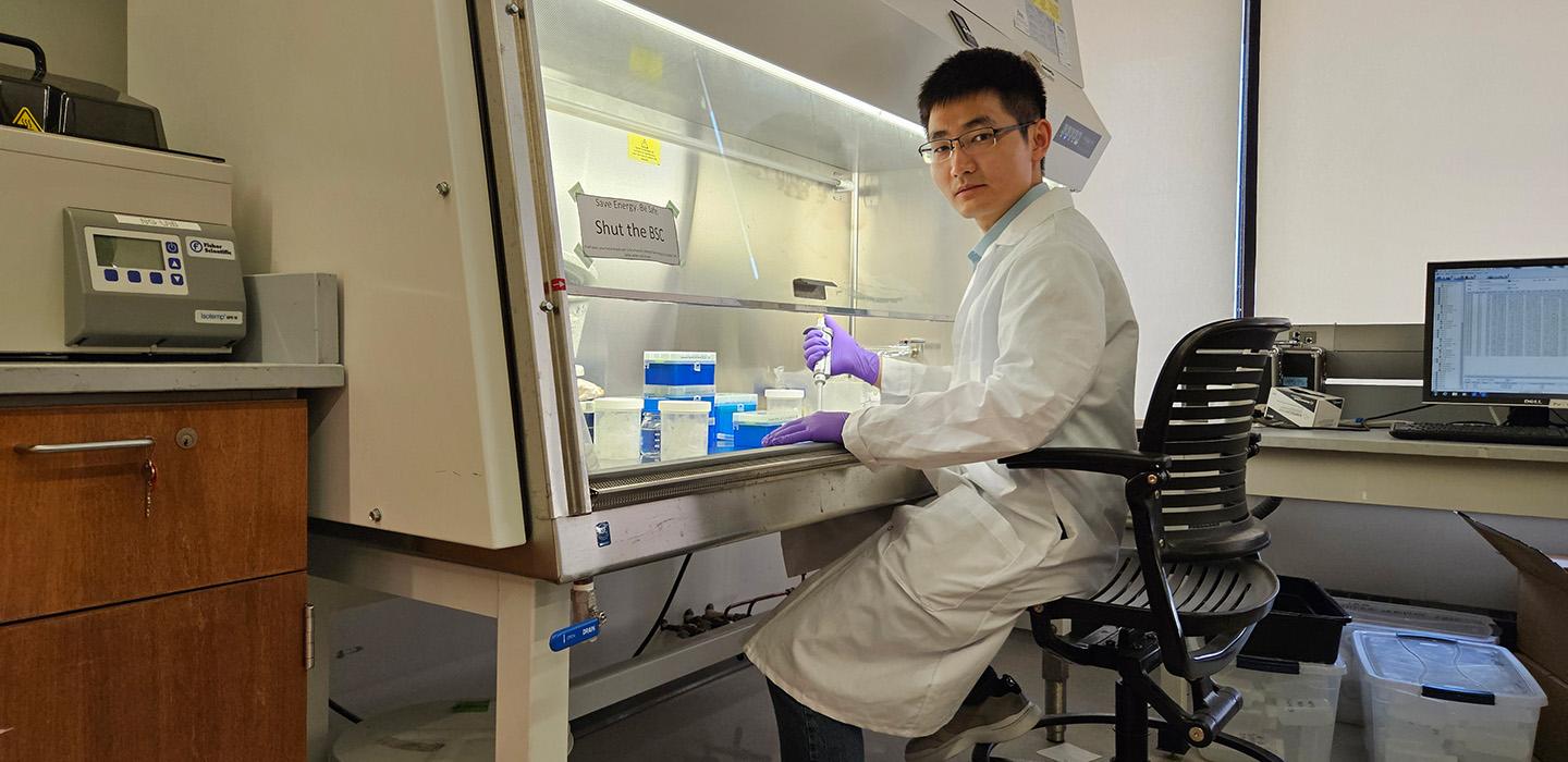 Meng Wang sits at a lab desk, with a pipette in hand