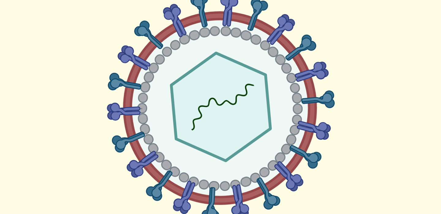 A depiction of the coronavirus in blue, red and white