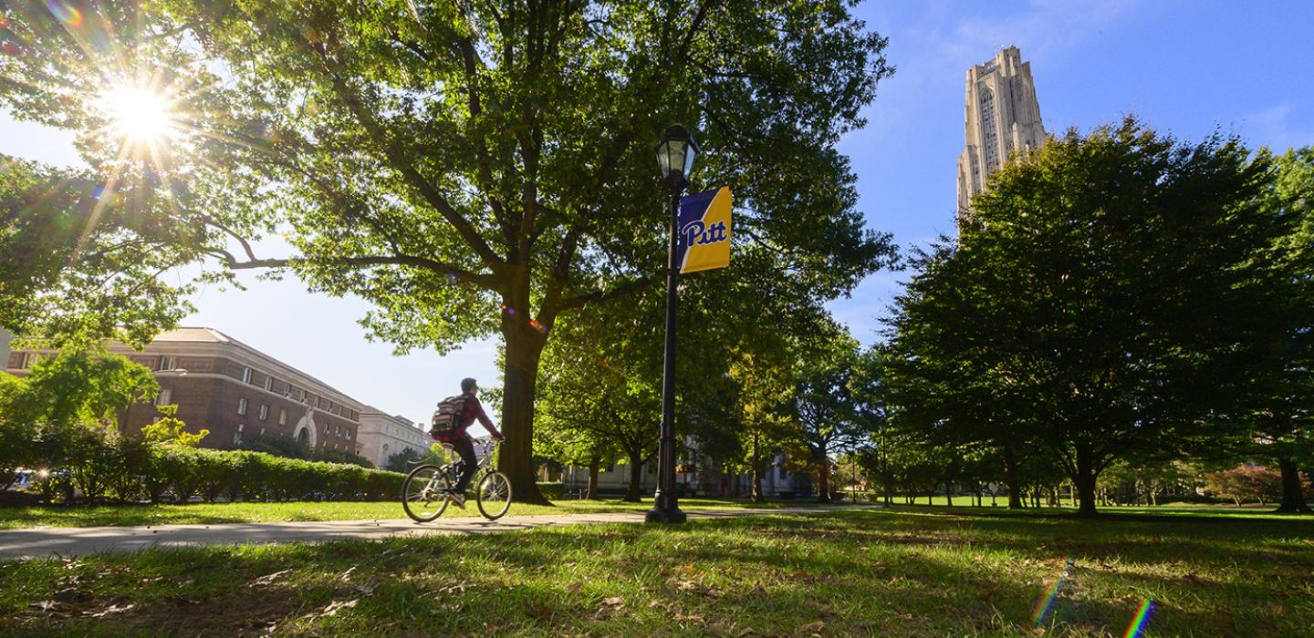A person rides a bicycle next to a green field with the cathedral of learning in the distance