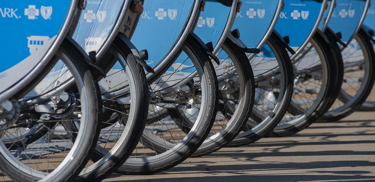 A row of blue colored bicycles