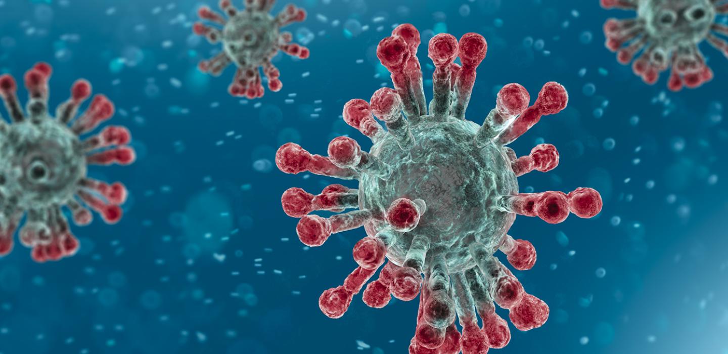 a cellular version of the virus