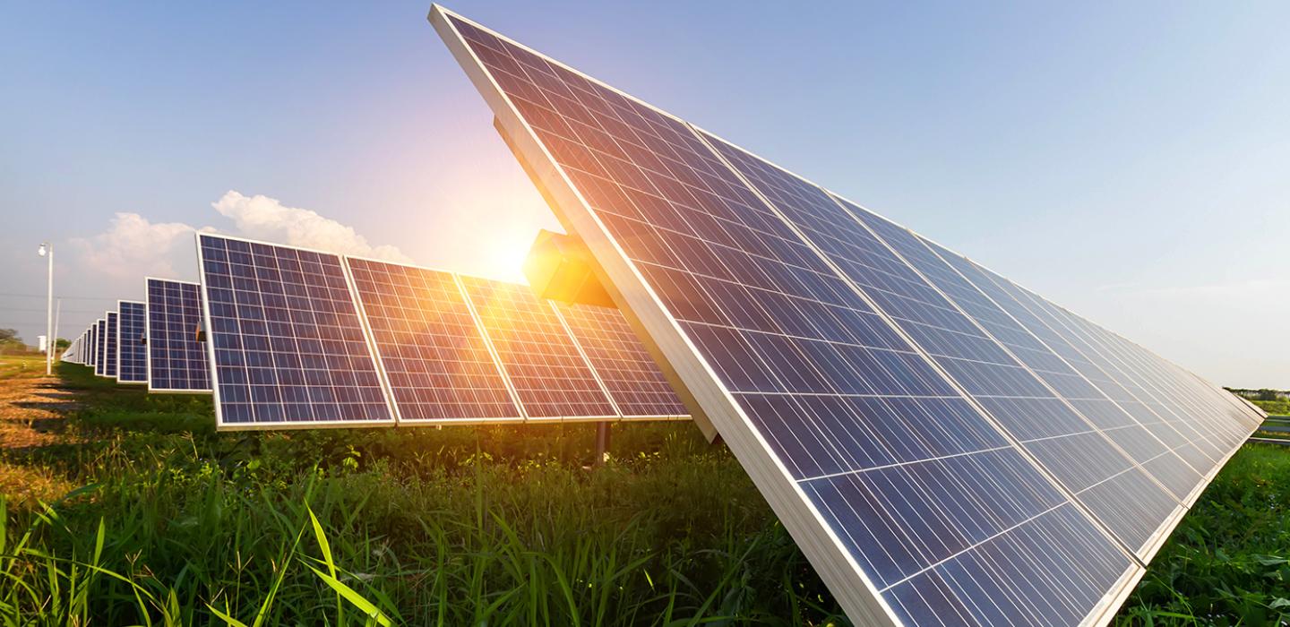 A green field filled with solar panels