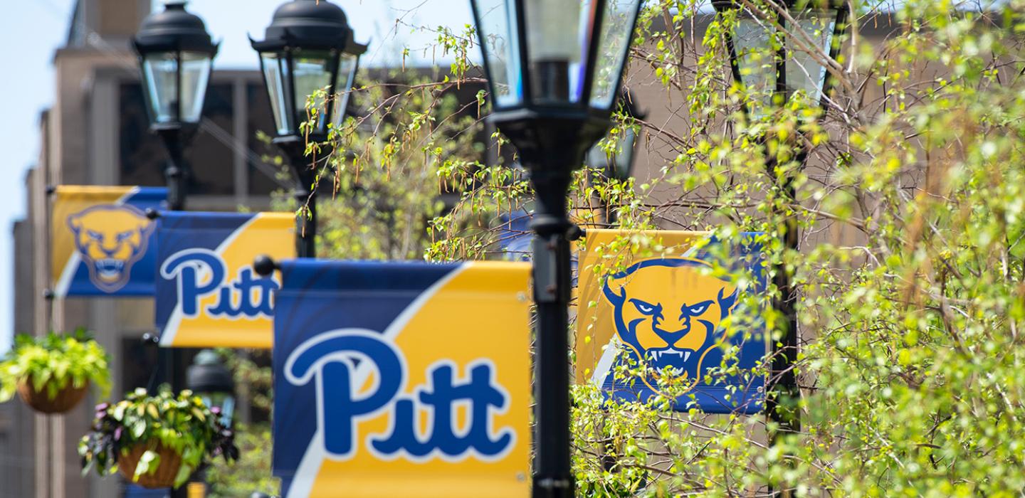 A series of Pitt flags on lamp posts