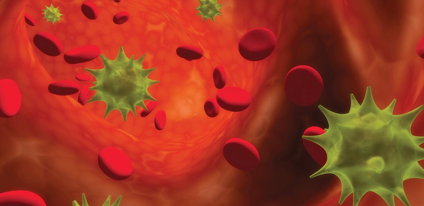 A depiction of a bloodstream and a virus
