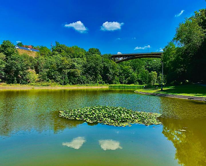 Bridge over a lake surrounded by trees