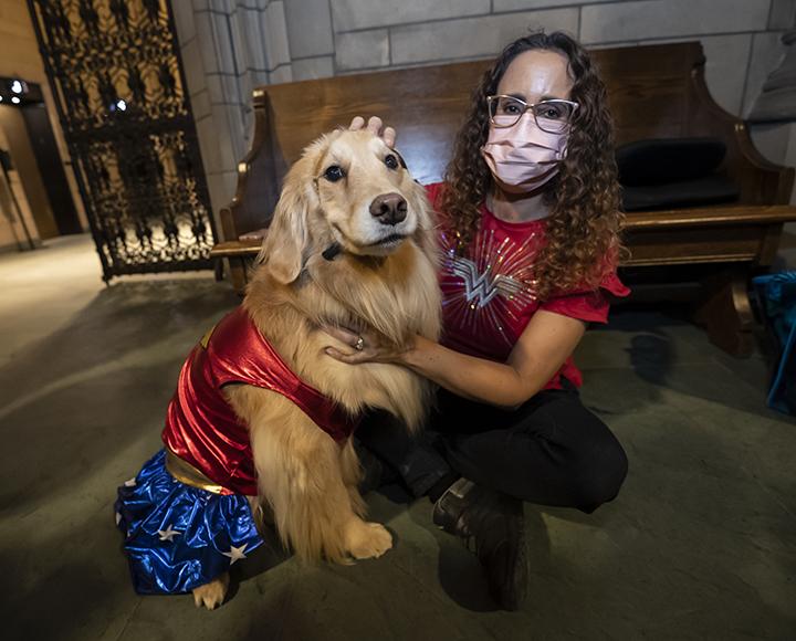 Simba the golden retriever wearing Wonder Woman costume, sitting next to Jennifer Silk