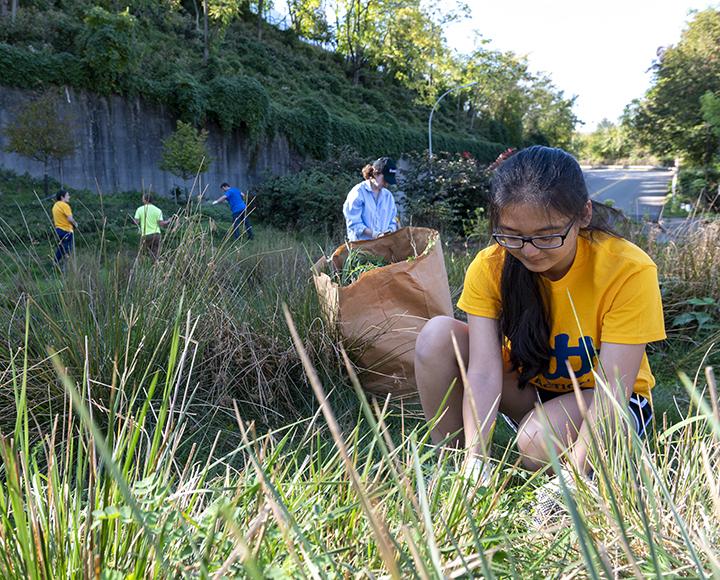 Students volunteering in grassy field
