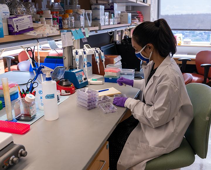 Natasha Tilston-Lunel working in lab with mask