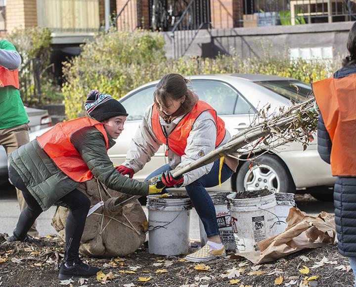 Pitt Sustainability volunteers planting trees in Oakland