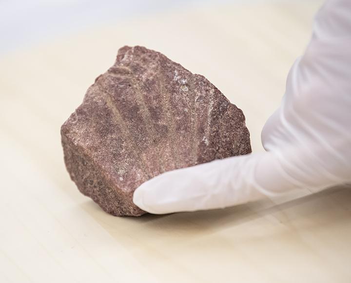 An old fragment of a royal statue from Egypt
