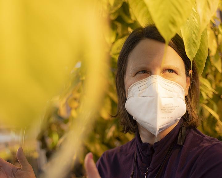 Laurie Follweiler standing among the foliage of corpse flower plants