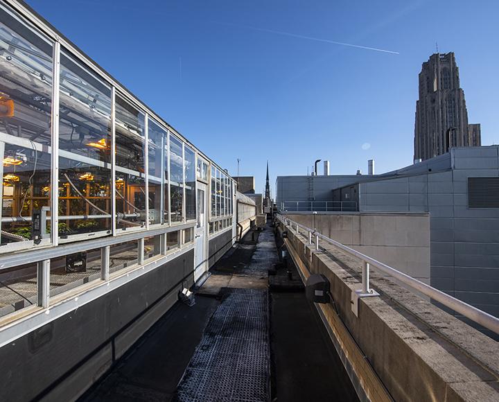Outdoor rooftop view of greenhouse