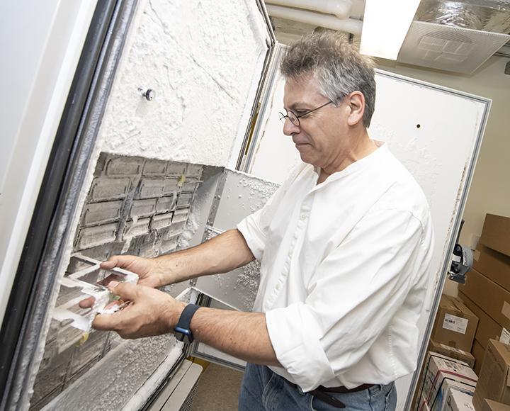 Graham Hatfull pulling tray of bacteriophages from a freezer